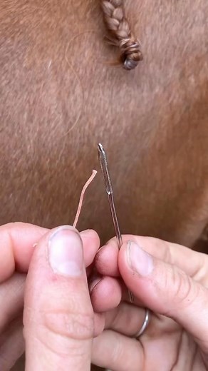 11K views · 18 shares | The @smart_grooming Flat Waxed Plaiting...