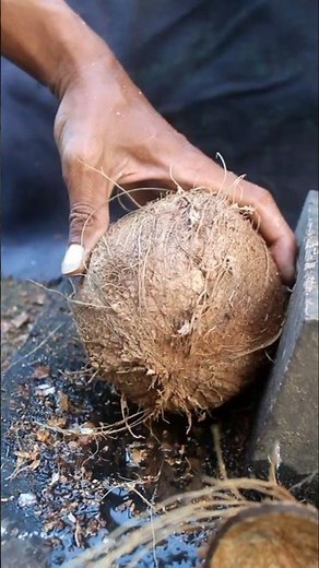 Smart idea to open coconut