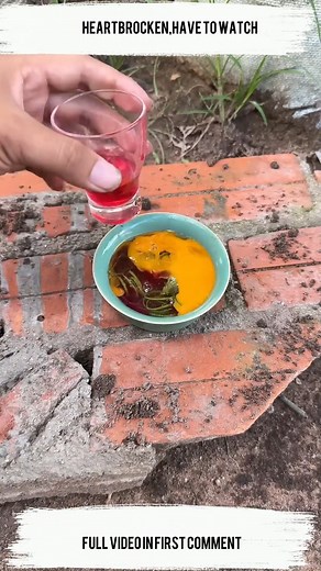 1.3M views · 10K reactions | Expert Reveals Top Mango Planting Secrets for Maximum Harvest! #shorts #farming #satisfying #mango | Tree Garden | Facebook