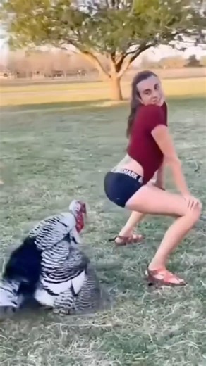 Animals Fun Facts 😳