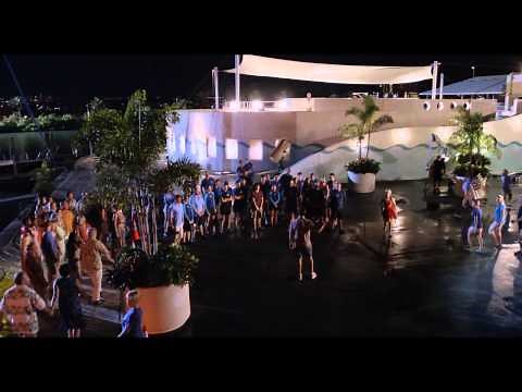 Dolphin Tale 2 "True Story"