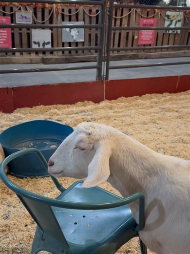 Sandra Wong on Reels | Facebook