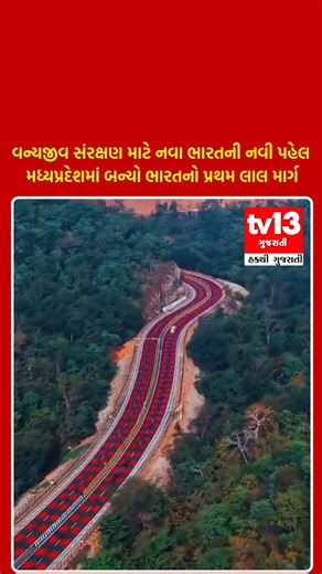 TV13 Gujarati on Instagram: "વન્યજીવ સંરક્ષણ માટે નવા ભારતની નવી પહેલ મધ્યપ્રદેશમાં બન્યો ભારતનો પ્રથમ લાલ માર્ગ વીરાંગના દુર્ગાવતી ટાઇગર રિઝર્વમાંથી પસાર થતા NH-45 ના 2 કિમીના પટ પર લાલ સપાટીવાળો રસ્તો બનાવવામાં આવ્યો છે. આ સ્માર્ટ ઇન્ફ્રાસ્ટ્રક્ચર માત્ર ડ્રાઇવરોને ચેતવણી આપતું નથી પણ પ્રાણીઓના જીવન પણ બચાવે છે. આ નવું મોડેલ વન્યજીવન સંરક્ષણ તરફ એક પ્રશંસનીય પહેલ છે. #WildlifeProtection #SmartInfrastructure #RedRoadIndia #MadhyaPradeshInitiative #NewIndia #AnimalSafety #tv13gujarati"