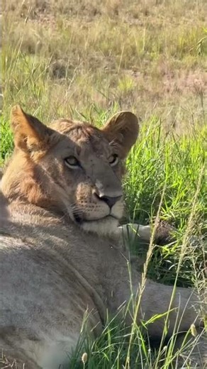 Loving Africa 🌍 | The Beauty of Africa’s Fantastic Nature