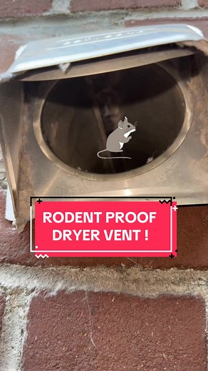 Effective Methods for Rodent Proofing Dryer Vents