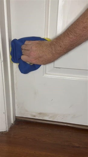 I Cleaned Everything In My House Using This