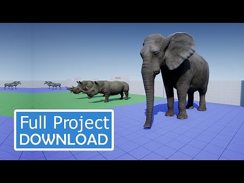 Animal Blueprint Showcase
