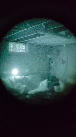 Eotech OGL-C Laser Test #military #tacticalgear