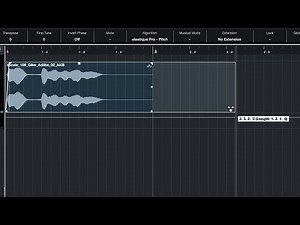 How to Time Stretch Audio Samples | Cubase Tutorial