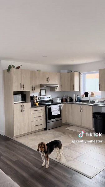 Explore My Home Tour: A Journey into My Space