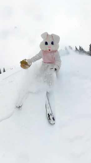 6.1K views · 543 reactions |  The Easter Bunny skied by to check out the egg-straordinary conditions at #DeerValley, boasting a whopping 100” base and over 350” of snow this season! The Easter Bunny will be back Sunday, and guests can take photos at Snow Park Lodge (9-11 a.m.) and Silver Lake Lodge (12-1:30 p.m.). Don’t miss the hop-pening! #EasterBunny #SkiingBunny ⛷️: @ted_ligety : @GoPro #GoPro @rossdownard | Deer Valley Resort | Facebook