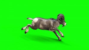 Graceful Goat Running Movements on green background, A Natural Dance of Elegance