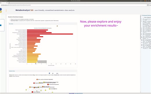 MetaboAnalyst 5.0 - Enrichment Analysis