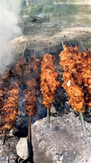 grilled shish kebab