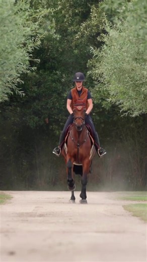 SS26 has arrived! Performance-focused, stylish, and designed for both competition and everyday riding. #eurostar