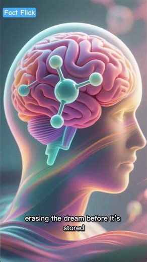 “Your Brain Erases Dreams for This Reason”