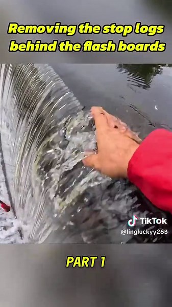 Removing Stop Logs Behind Flash Boards - Water Control Maintenance