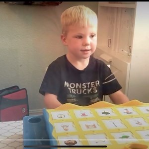 Amy Graham SLP: Speech Sound Disorders Specialist on Instagram: "When you have a child exhibiting a phoneme collapse (using one sound in place of many), consider using the multiple oppositions approach. This contrastive approach was developed by @lynnwilliamsslp for kids with moderate to severe phonological impairments by targeting word SETS… these word sets contrast the child’s error with several target sounds that reflect: ☝️maximal classification (different from each other in terms of distinc