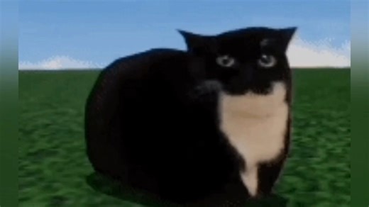 “Stinky Cat”