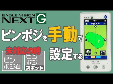 EAGLE VISION NEXTG ピンポジを手動で設定する