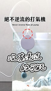 5.7K views · 633 reactions | 一台絕不逆流的打氣機 誰說空氣馬達一定要裝止逆閥？ #水族 #pets #fish #aquarium #fishtank #shorts | A C 草影水族 | Facebook