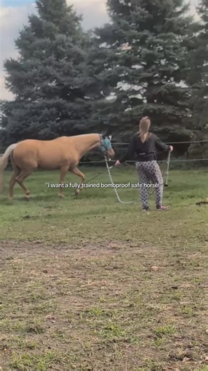 Understanding Aggressive and Difficult Horses