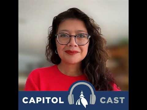 Election '26 - Karina Villa