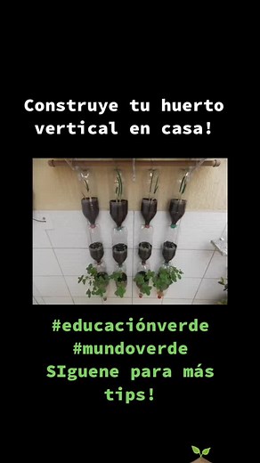 Construcción de huertos verticales con botellas plásticas
