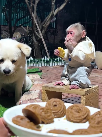 Easy Oatmeal Cookie Recipe for Sweet Indulgence