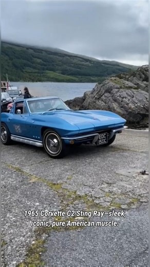 Check Out This 1965 Chevrolet Corvette C2 Sting Ray!
