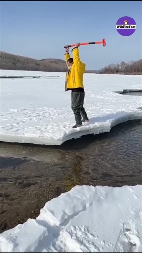 Catch Fish In The Cold Winter #shorts #ytshorts