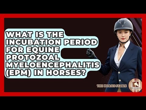 What Is The Incubation Period For Equine Protozoal Myeloencephalitis (EPM) In Horses?