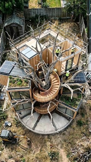 Dead Tree → Luxury Eco Pod 🌿✨
