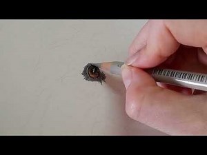 How to Draw a Realistic Dog in Colour Pencils | Real Time Tutorial | Part 1 The Eyes