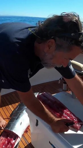 46K views · 484 reactions | How to Fillet a Striped Marlin  Part 3 #howto #filletingfish #stripedmarlin #bloodydecks #fishingdaily #filletfish #cuttingfish #fishcutting #fishcut #marlinfishing #biggamefishing #fishingtime #offshorefishing #trollingfishing | Your Saltwater Guide | Facebook
