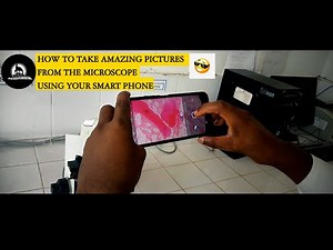 How to take amazing pictures from the microscope using your smart phone