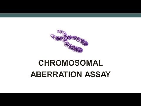 Chromosomal Aberration assay