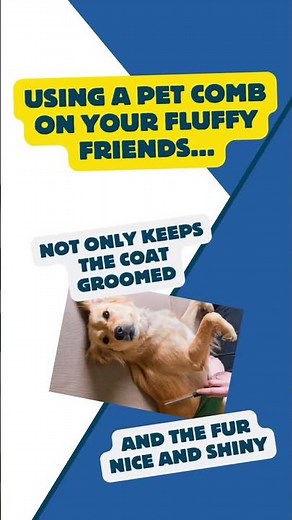 Why should you comb your pets? Follow Fleasolve for more flea facts