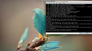 How To Solve “Problem running post install step” on PostgreSQL Windows Installation