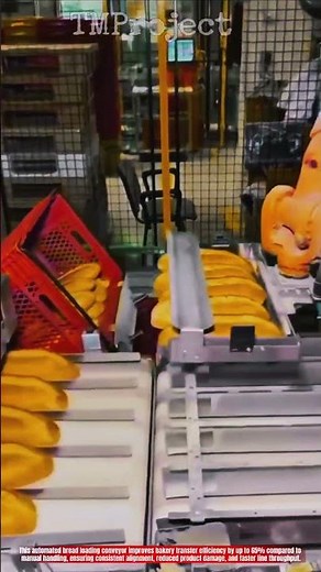 Innovative Bread Loading Conveyor Machine : Best Automated Bakery Transfer