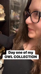 2.9K views · 189 reactions | Day 1 of my owl collection (15 years in the making) #OwlPhotographer #OwlCollection #Collections #OwlsSavedMyLife #BorealOwl | Thee Owl Queen | Facebook