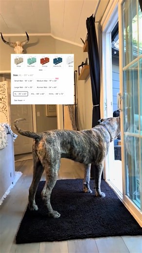 13K views | Tired Of Pets Dragging Dirt and Mud Inside The Home?  The Muddy Mat Is Perfect For Pets With Dirty Paws Buy 2 Get 1 FREE for a Limited Time! | Muddy Mat | Facebook