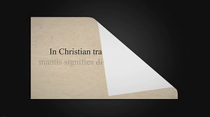 Biblical Meaning of Seeing a Praying Mantis: What Does It Symbolize?