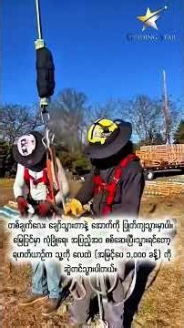 Would you dare to do this job if you were paid $30,000 a month? #shortvideo