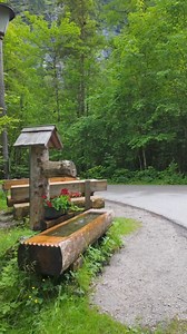 121K views · 1.8K reactions | Avusturya Doğası 諾襁️❤️ . . . . . . . . #beauty #fyg #beautiful #doga #love #amazingnature #complex #sean #iyiliksende #foryou #naturesbeauty #reelsvideo #beautifulplace #fyp #naturezaperfeita #birds #avusturya | Doğa Güzelliği | Facebook