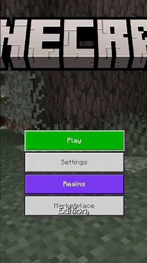 NEW Public Minecraft SMP Server 1.21.4 Free to Join