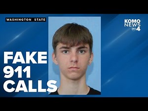 'Cyber terrorist' who reported fake 911 calls across US and Canada sentenced to prison