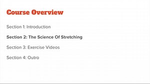 完整的伸展运动：30 多种增强柔韧性和改善姿势的练习
