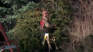 Real ‘Home Alone’ family says Macaulay Culkin really cut their tree
