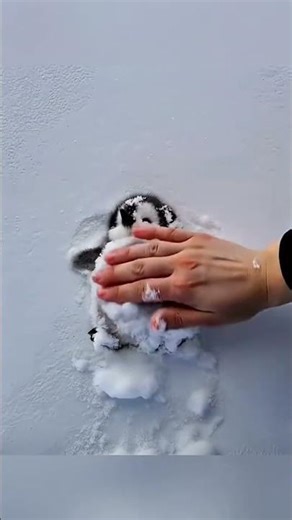 A Tiny Penguin Resting Peacefully on the Snow🐧 #funnyanimals #cuteanimals #cats #funnycats #petshub
